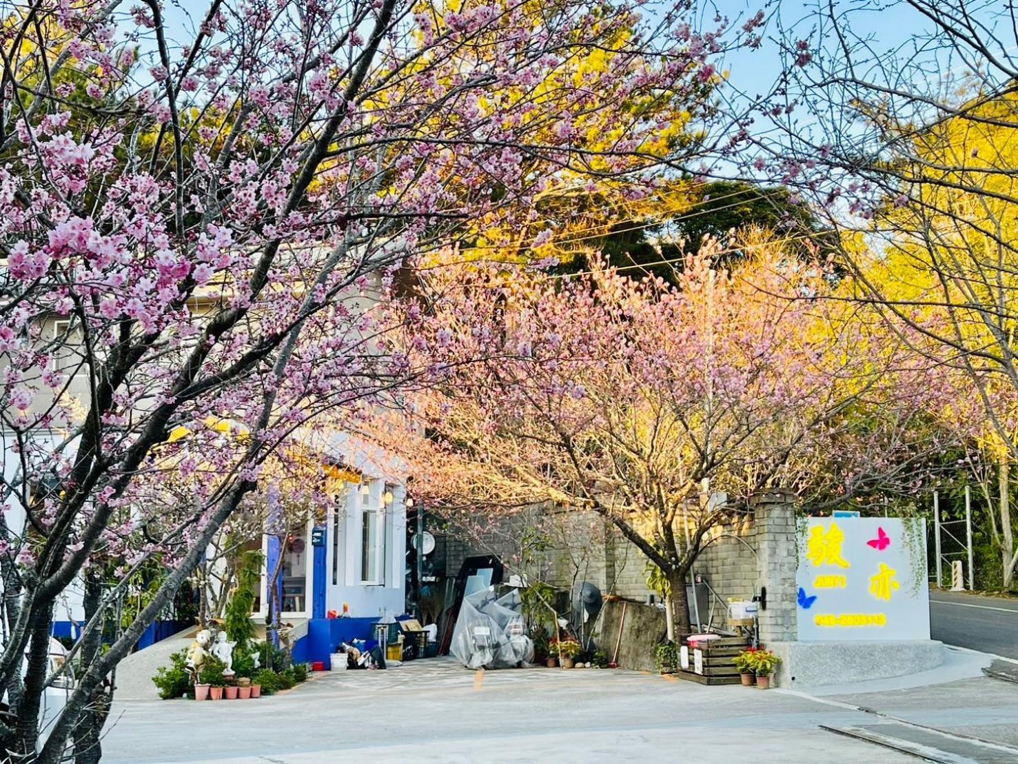 Junyi Landscape Villa Renai Exterior foto